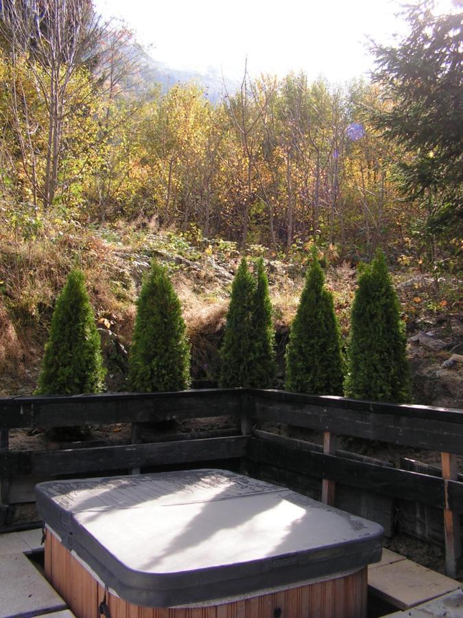 Chalet L'Ourson Villa Chamonix Exterior foto
